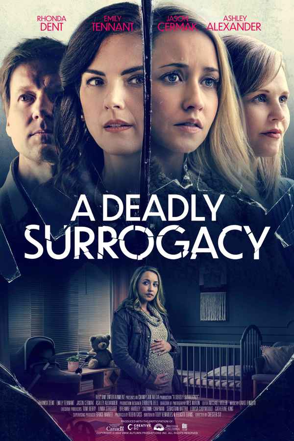 A Deadly Surrogacy Poster 2