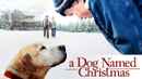 A Dog Named Christmas Poster 5