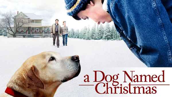 A Dog Named Christmas Poster 6