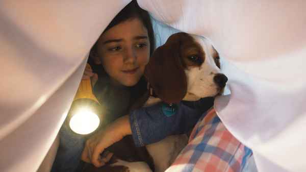 A Dog's Journey Poster 3