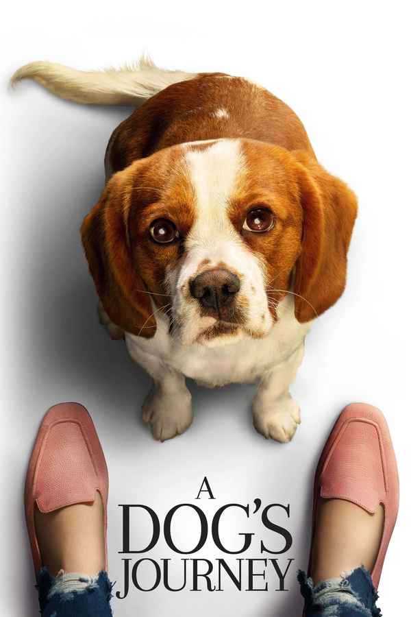 A Dog's Journey Poster 5