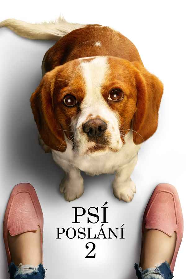 A Dog's Journey Poster 7