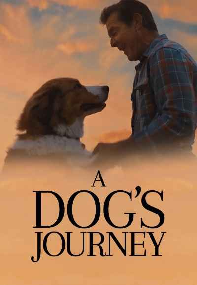 A Dog's Journey