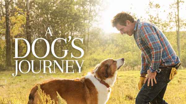 A Dog's Journey Poster 2