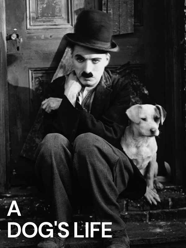 A Dog’s Life Poster 4