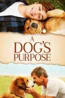 A Dog's Purpose Poster 7