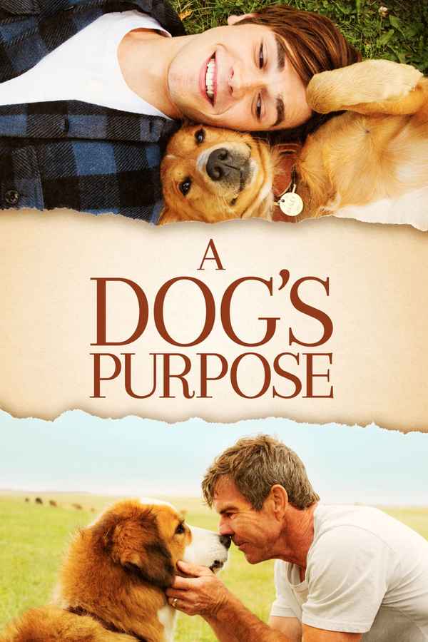 A Dog's Purpose Poster 7