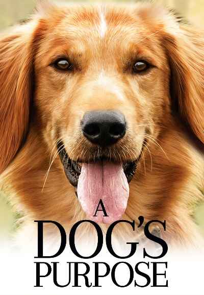 A Dog's Purpose