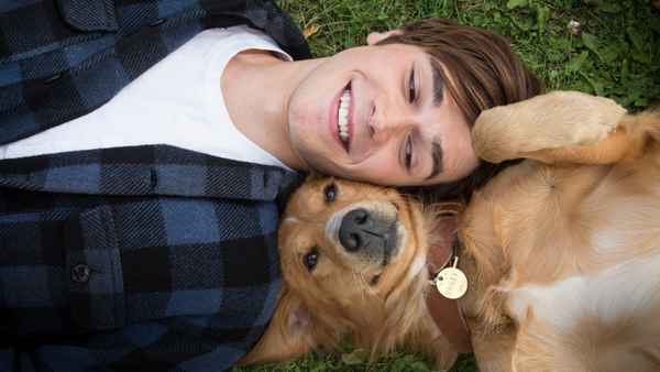 A Dog's Purpose Poster 6