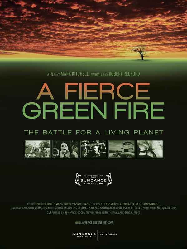 A Fierce Green Fire Poster 2