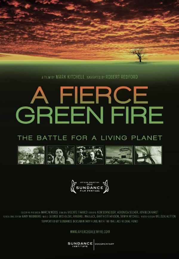 A Fierce Green Fire Poster 4
