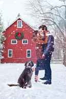 A Furry Little Christmas Poster 7