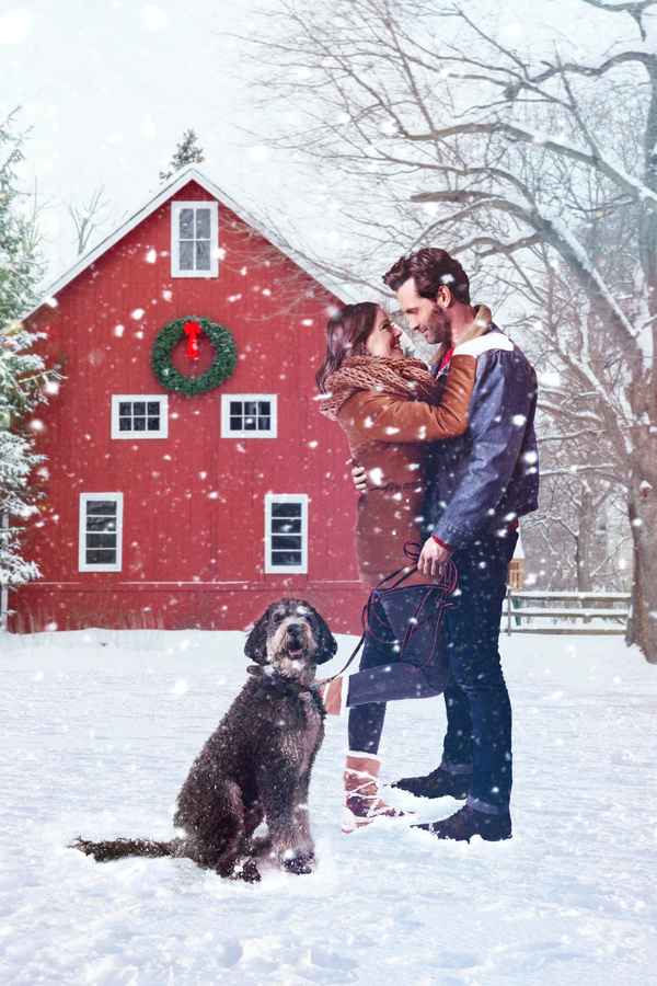 A Furry Little Christmas Poster 7