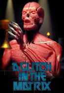 A Glitch in the Matrix Poster 6