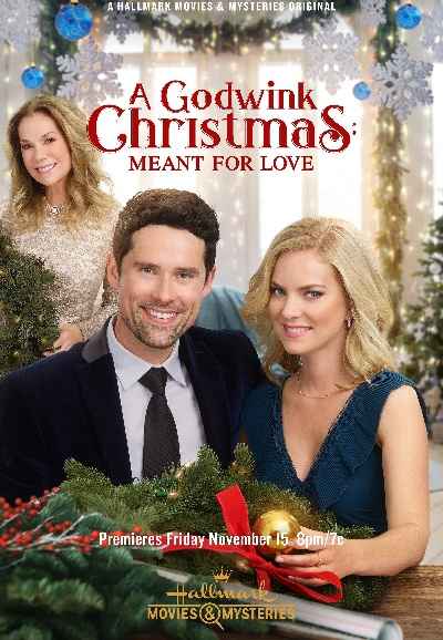 A Godwink Christmas: Meant For Love