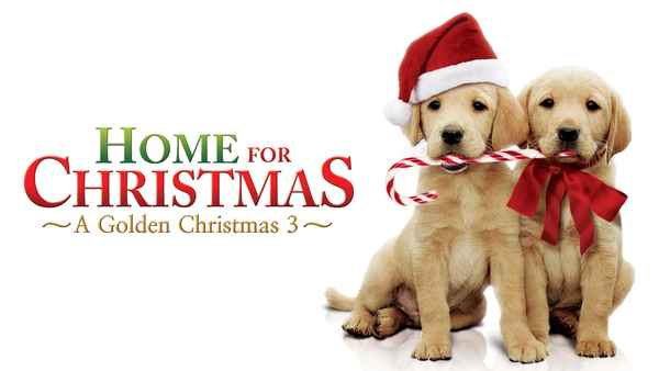 A Golden Christmas 3 Poster 7