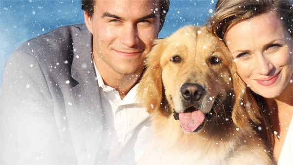 A Golden Christmas 3 Poster 3