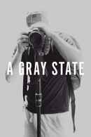 A Gray State Poster 1