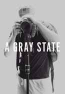 A Gray State Poster 6