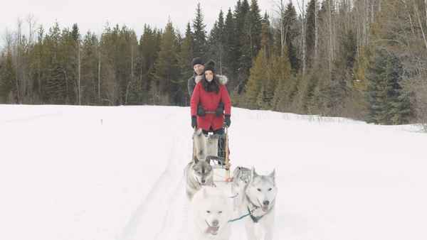 A Great North Christmas Poster 6