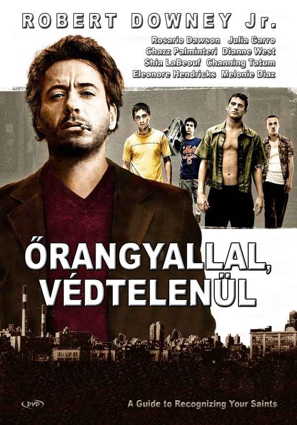 A Guide to Recognizing Your Saints Poster 6