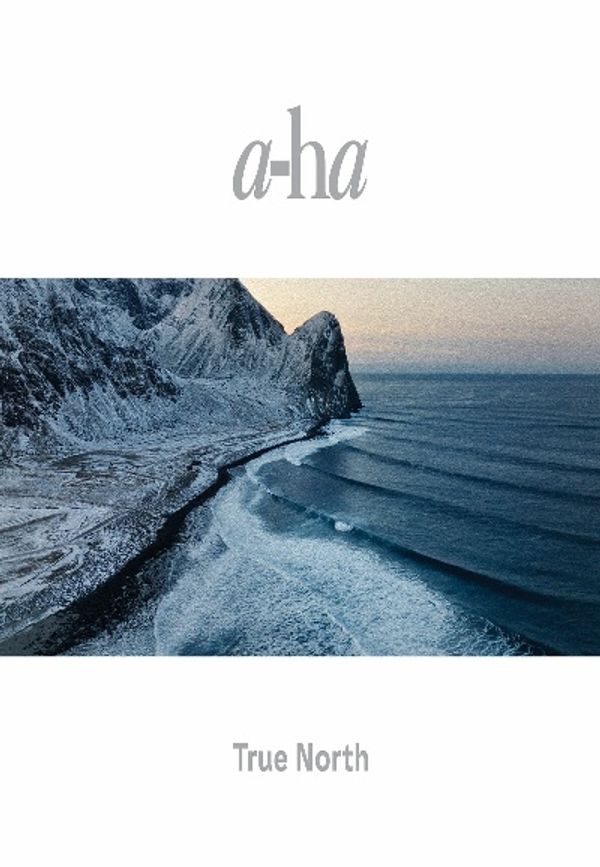 a-ha: TRUE NORTH Poster 4