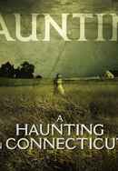 A Haunting In Connecticut Poster 4