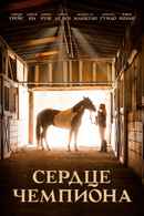 A Horse from Heaven Poster 4