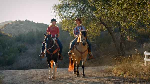 A Horse from Heaven Poster 1