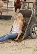 A Horse from Heaven Poster 5