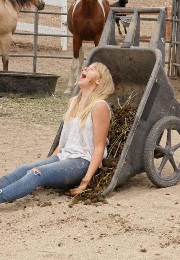 A Horse from Heaven Poster 5