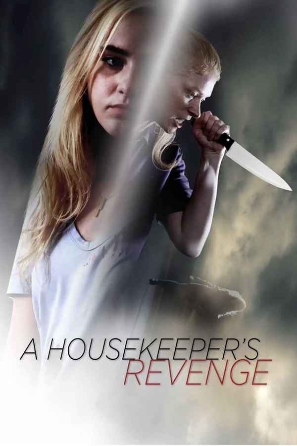 A Housekeeper's Revenge Poster 1