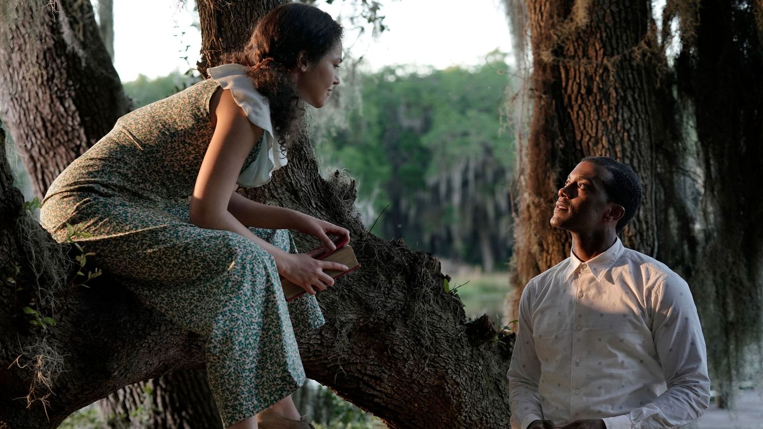 Watch A Jazzman's Blues Movie Online, Release Date, Trailer, Cast and Songs - Vimarsana News