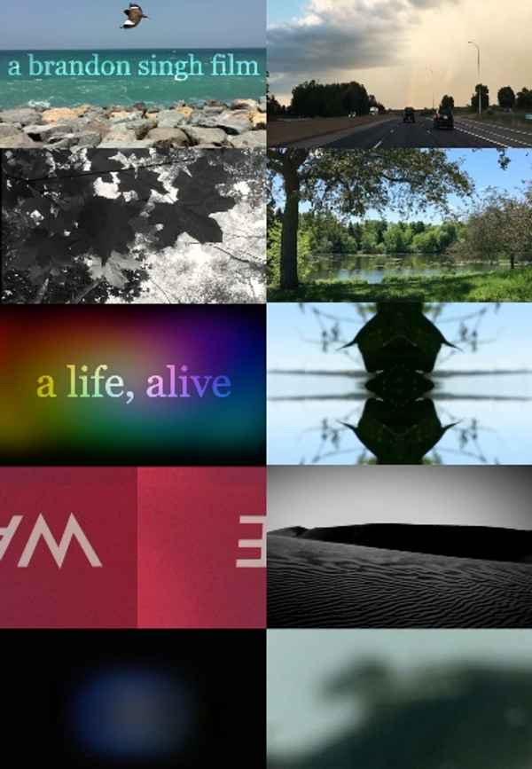 A Life, Alive Poster 3