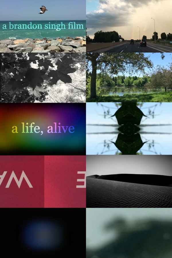 A Life, Alive Poster 2