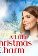 A Little Christmas Charm Poster 5
