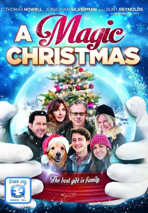A Magic Christmas Poster 4