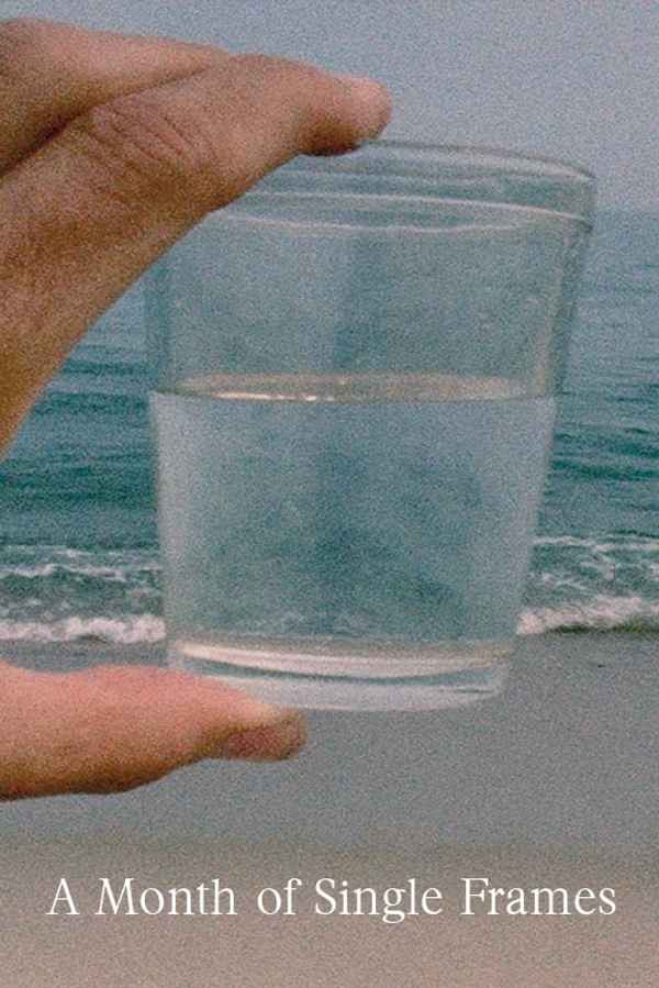 A Month of Single Frames Poster 4