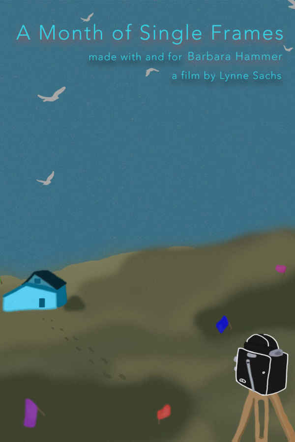 A Month of Single Frames Poster 2