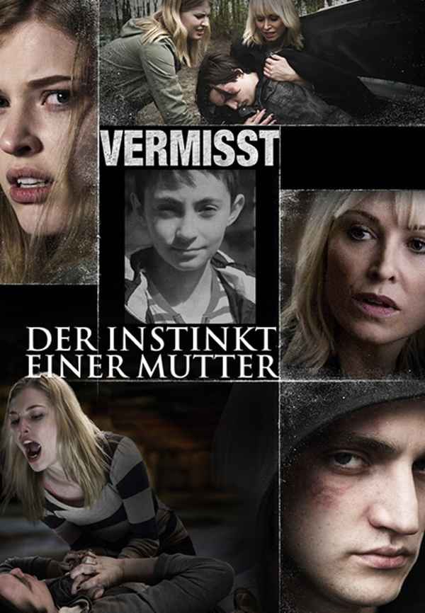 A Mother's Instinct Poster 5