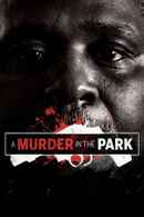 A Murder in the Park Poster 4