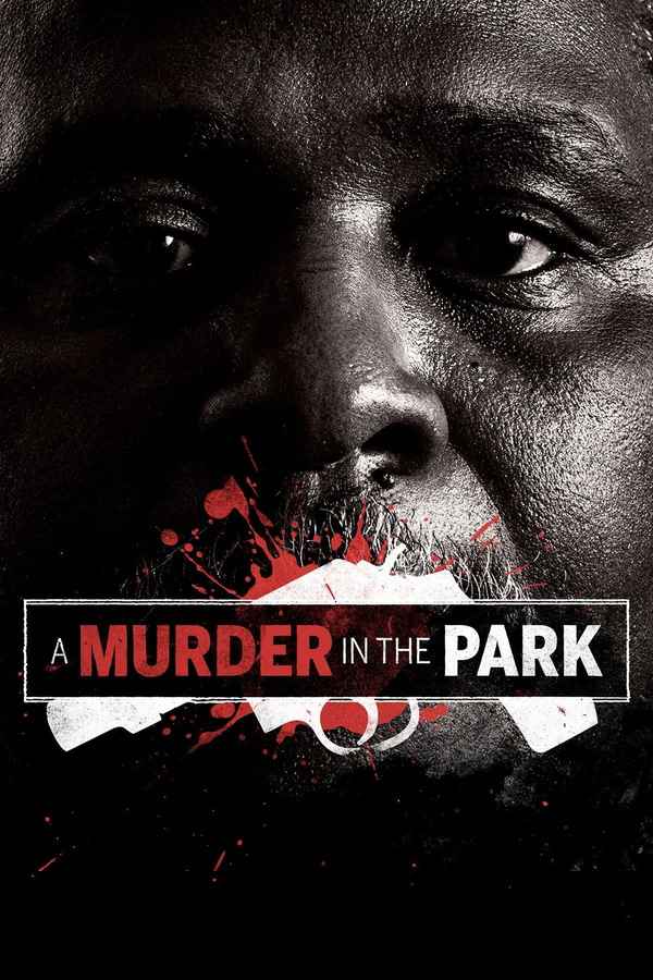 A Murder in the Park Poster 5