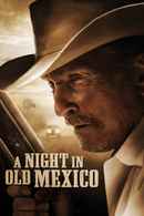 A Night in Old Mexico Poster 1