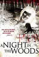 A Night in the Woods Poster 5