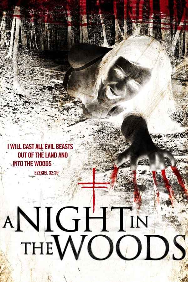 A Night in the Woods Poster 4