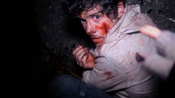 A Night in the Woods Poster 1