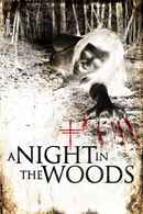 A Night in the Woods Poster 2