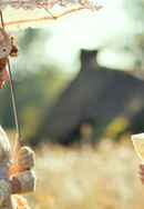 A Noble Intention Poster 6