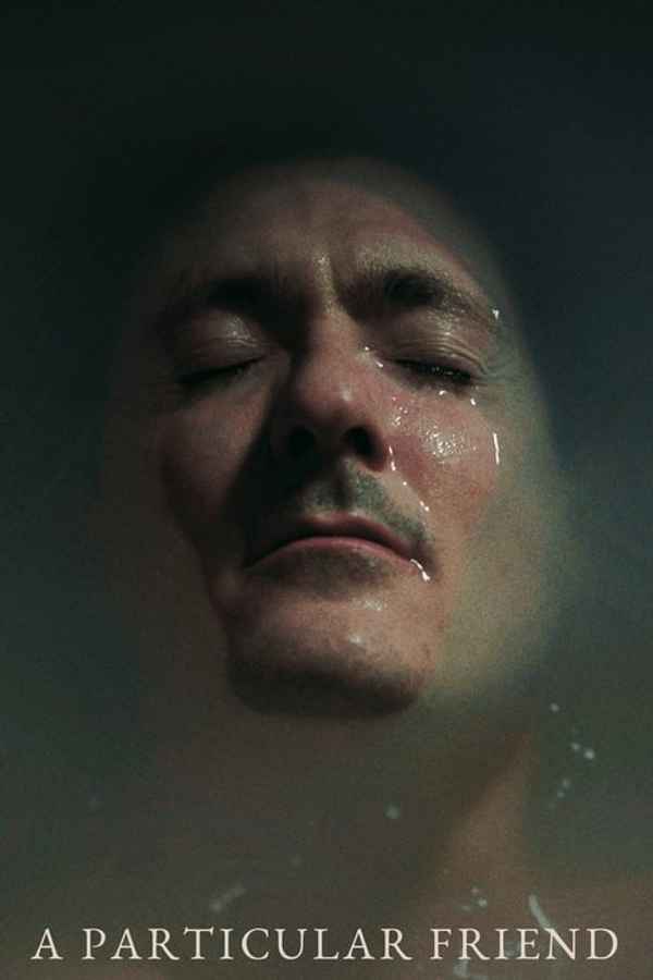 A Particular Friend Poster 1