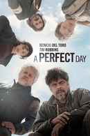 A Perfect Day Poster 5